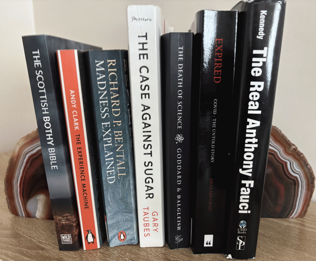 Bookends from The Treasure Hut in use